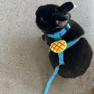 4Pack Rabbit Vest Traction Rope Small Pet Harness Adjustable Rabbit Harness and Belt, Small Pet Vest Harness Belt Trail Decorative Traction Rope Toys Suitable for Walking