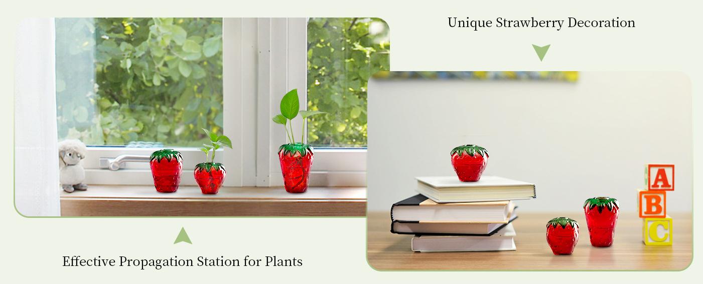 Glass Strawberry Propagation Vases for Plants: Cute Strawberry Decor for Home Kitchen Bathroom Office - Unique Indoor Hydroponic Planters Gifts for Mom Women Glass Strawberry Propagation Vases for Plants: Cute Strawberry Decor for Home Kitchen Bathroom Office - Unique Indoor Hydroponic Planters Gifts for Mom Women