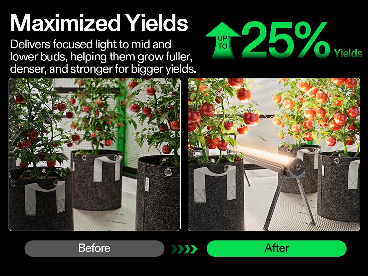 VIVOSUN LumaRay Under Canopy Grow Light, Full Spectrum Dimmable LED Grow Lights for Grow Tents, Greenhouses, SGS Compatible, 100W, 3.28 ft