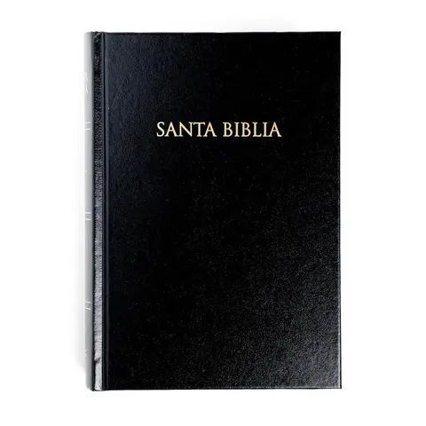 Regal Reina Valera 1960 Spanish Language Holy Bible - Abridged Iconic RVR 1960, Pink Imitation Leather Durable Hard Cover, 1184 Pages, Gift and Award-Ready Religious Book for Humanities Enthusiasts