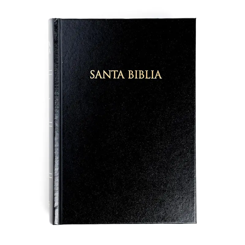 Regal Reina Valera 1960 Spanish Language Holy Bible - Abridged Regular Ed., Pink Mock Leather Durable Hard Cover, 1184 Pages, Gift-Ready Religious Book for Humanities Enthusiasts (Black Option Available)
