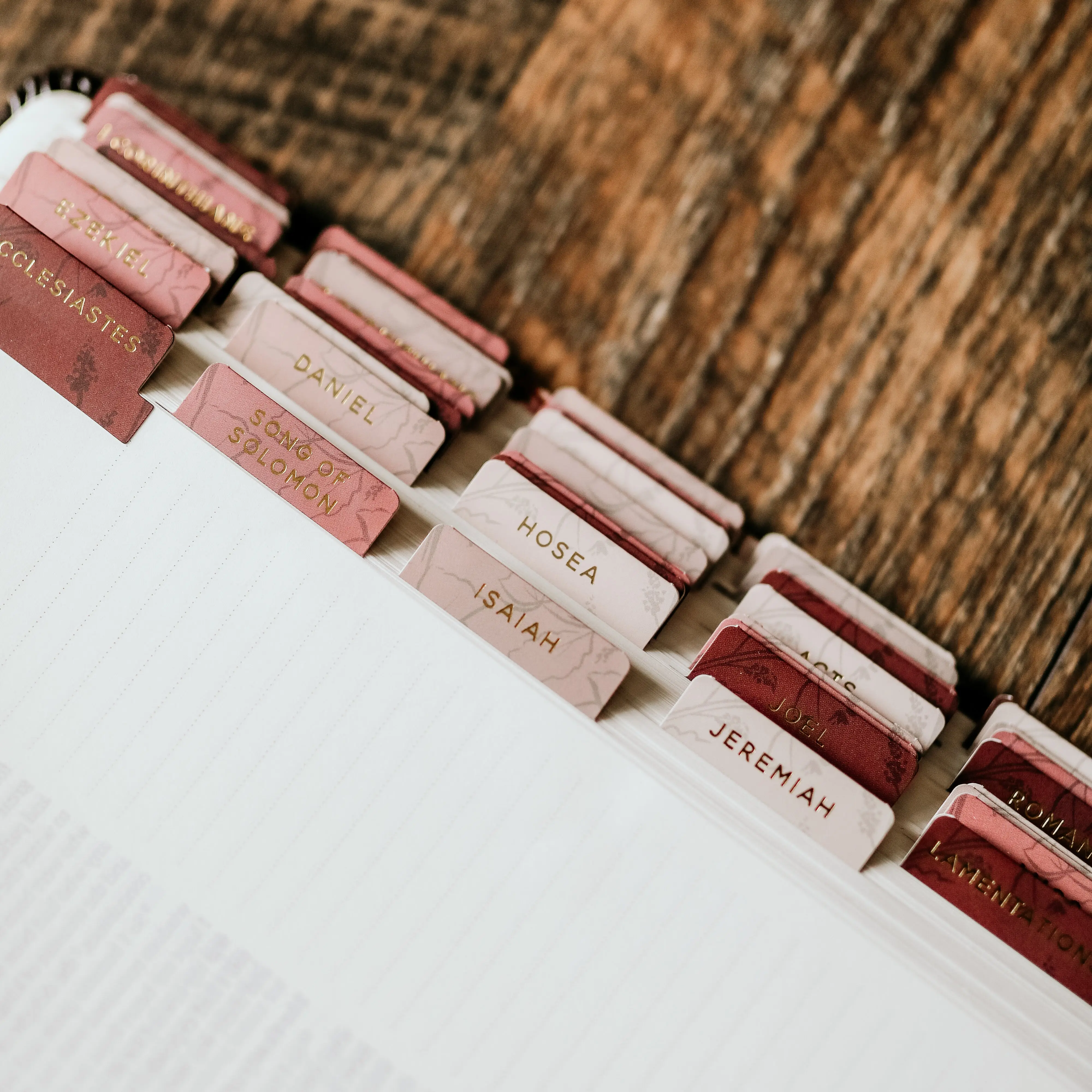 Bible Tabs | Rose Floral