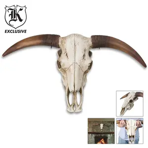 Massive Full Size Bull Steer Skull