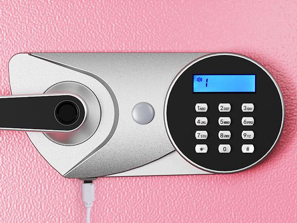 BlackSmith Home Biometric Safe 1.0 Cub Quick Access Fingerprint Lock Box With Keys Keypad Wall Mount Cabinet Safe Secure Money Jewelry with Fireproof Bag Mute Mode LED Light, Pink