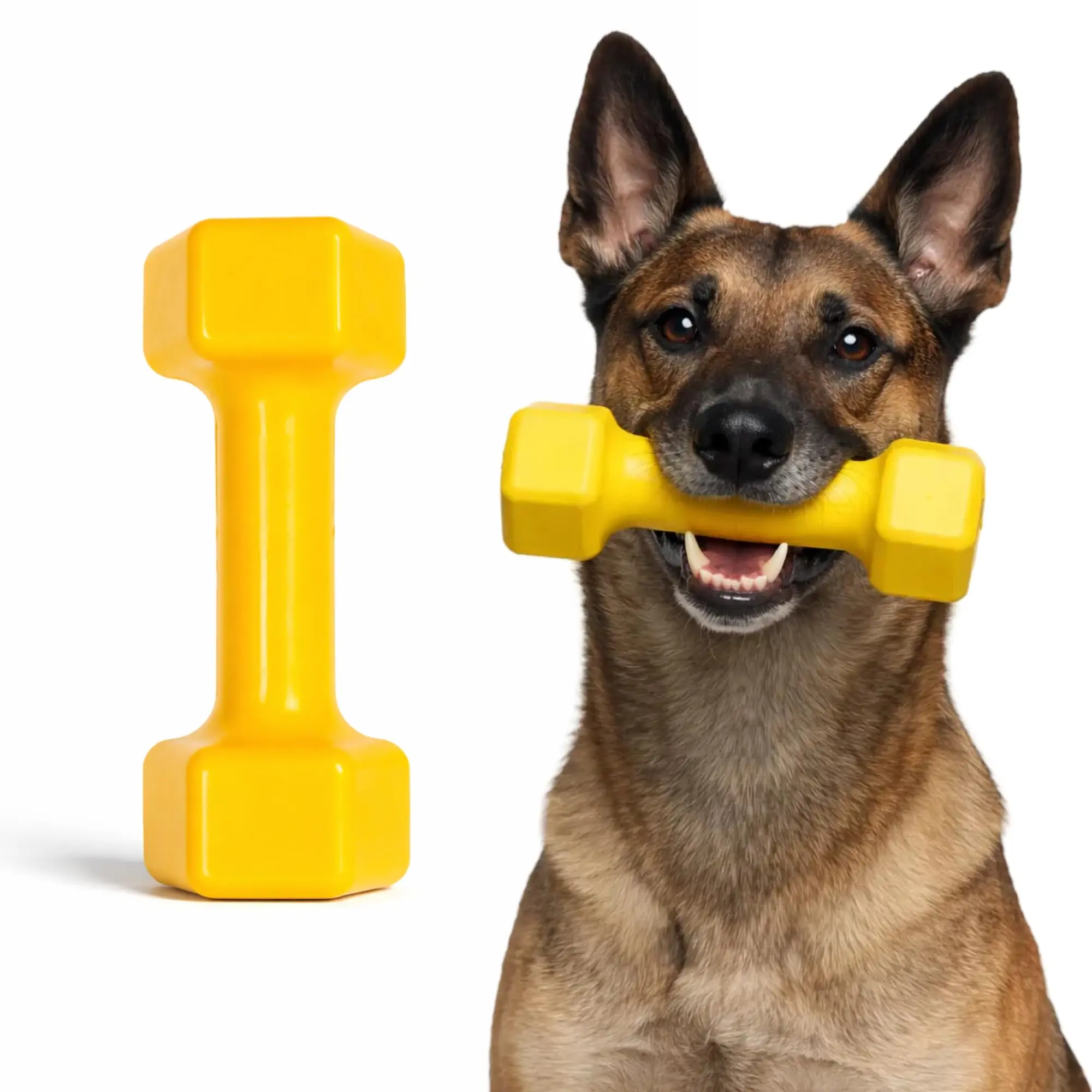 Dumbbell
