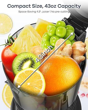 Syvio Juicer Machines Cold Press with 3 Detachable Filters 64 RPM Slow Masticating Technology Large Feed Chute Easy Clean BPA Free Silver