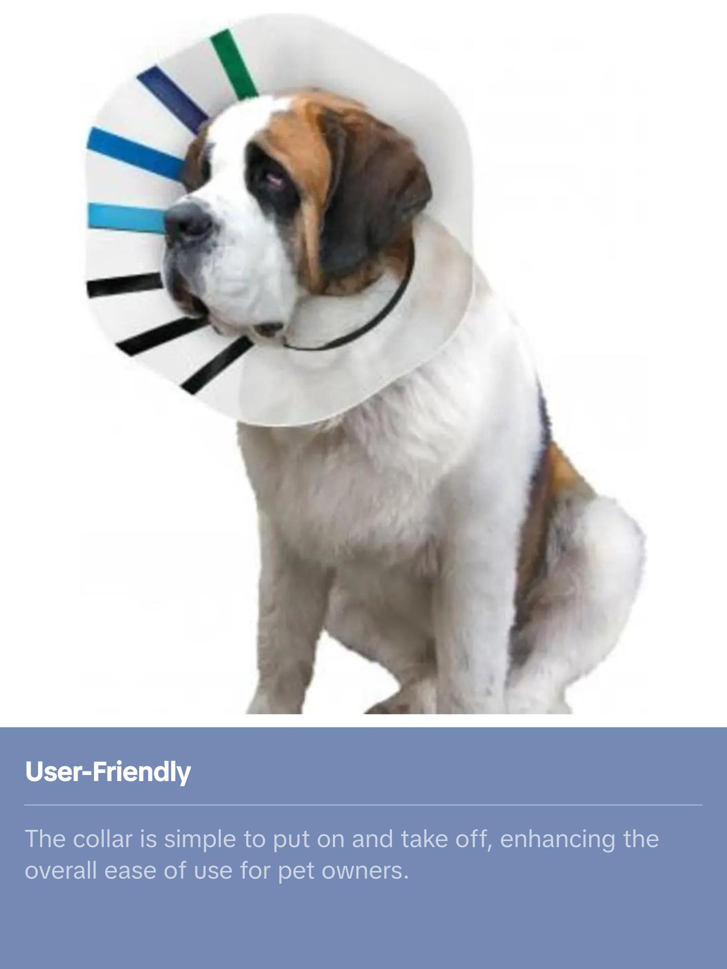 Kong® EZ Clear™ Dog Collar