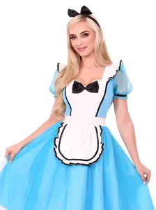 Looking Glass Alice Costume