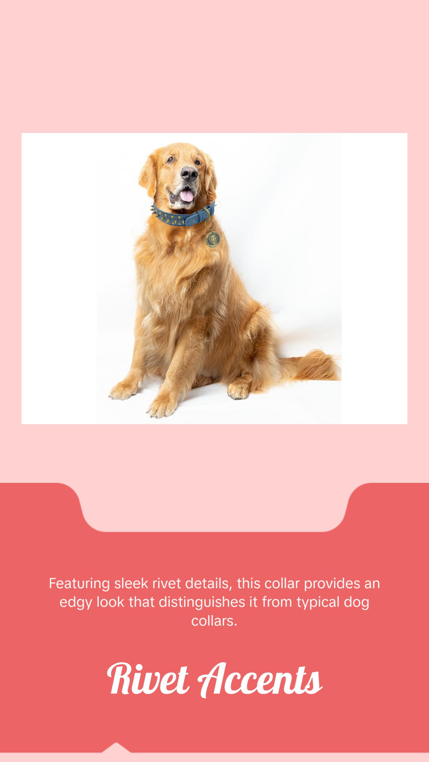 JACK Rivets Handmade PU Leather Dog Collar JACK Rivets Handmade PU Leather Dog Collar