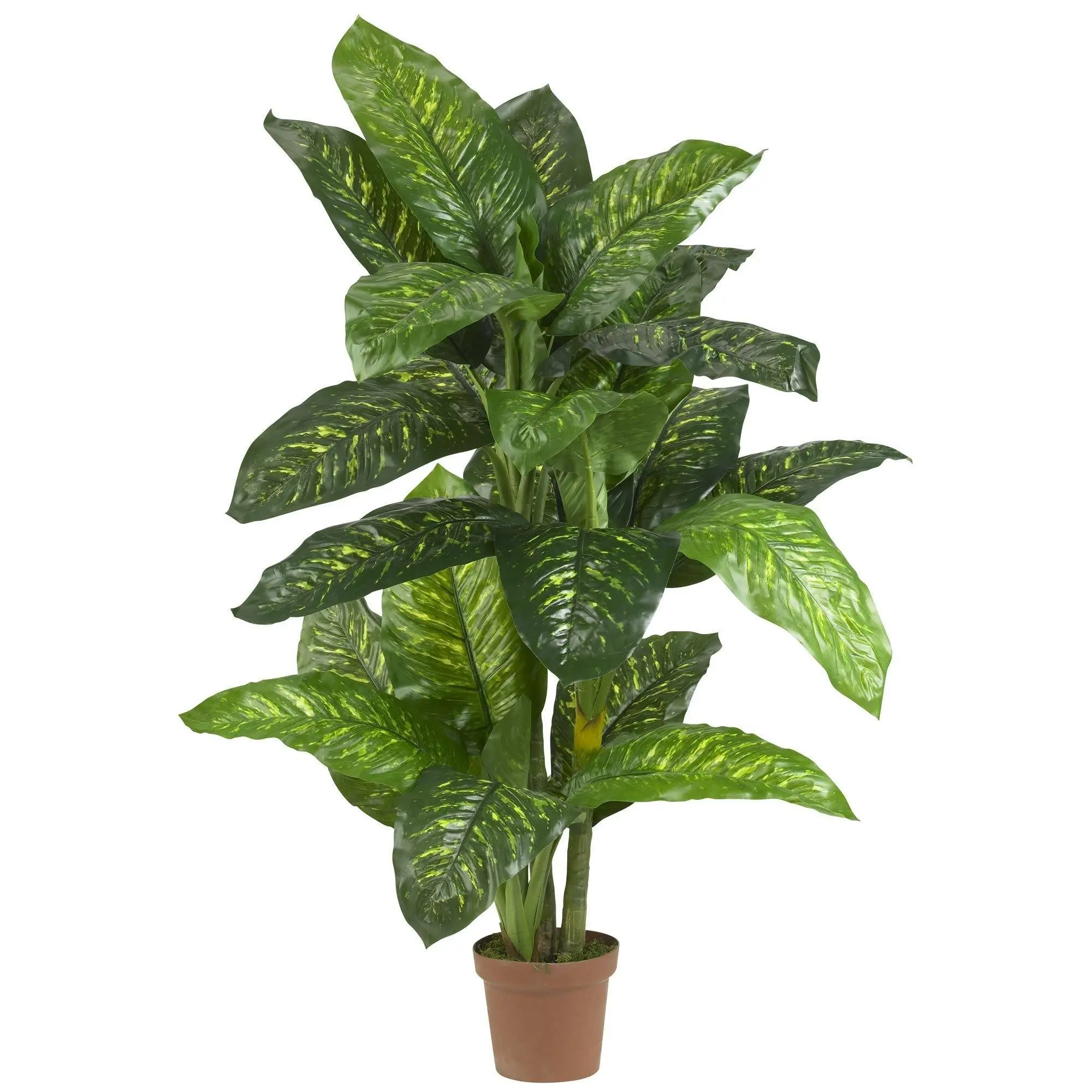 5' Synthetic Dieffenbachia - Real-Touch Silk Plant, Home Decor Piece for Entryway, Botanical Aesthetic Corner Addition