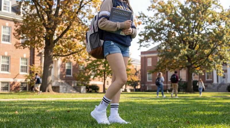 Auravia Women's Cute Teddy Bear Cotton Quarter Ankle Socks 5 Pairs Striped Patterns Breathable Sweat-Wicking Preppy Style Everyday Wear Soft Comfortable Stylish Casual Womenswear