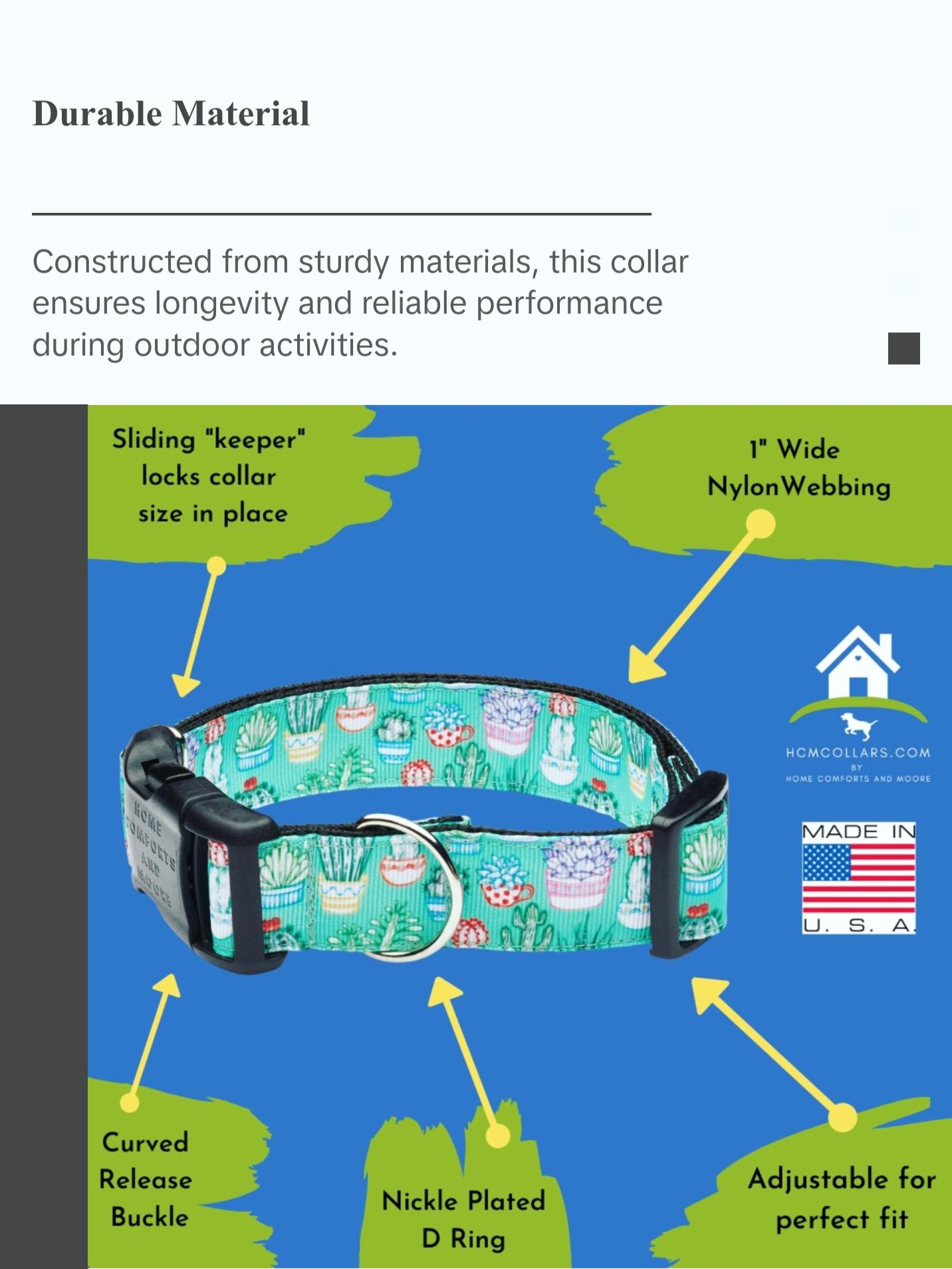 Colorful Cactus Saguaro Dog Collar - Perfect for Your Pet