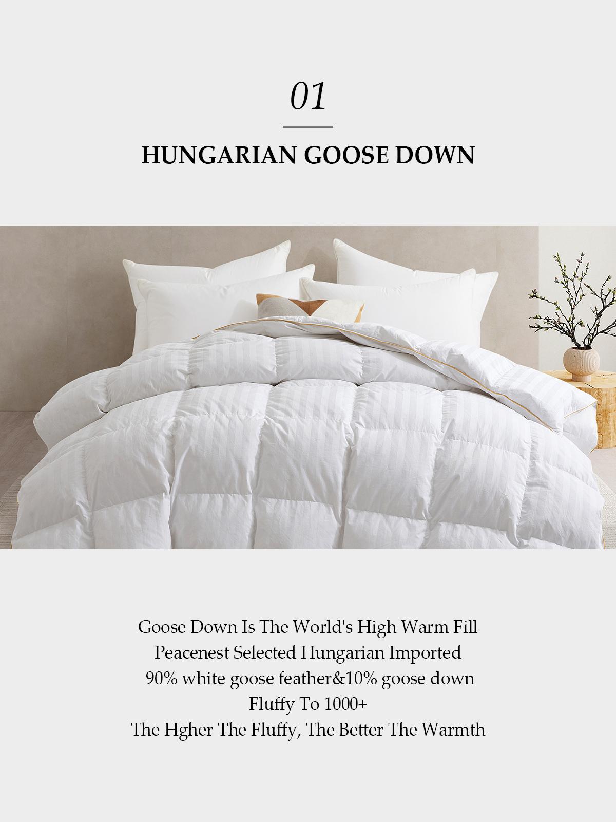 PEACE NEST 100% Egyptian Cotton 500TC All Season Goose Down Comforter Natural Hungarian Down Made in Germany Fill Year-round Warmth 1000 Fill Power Machine Washable Soft & Cozy Bedding