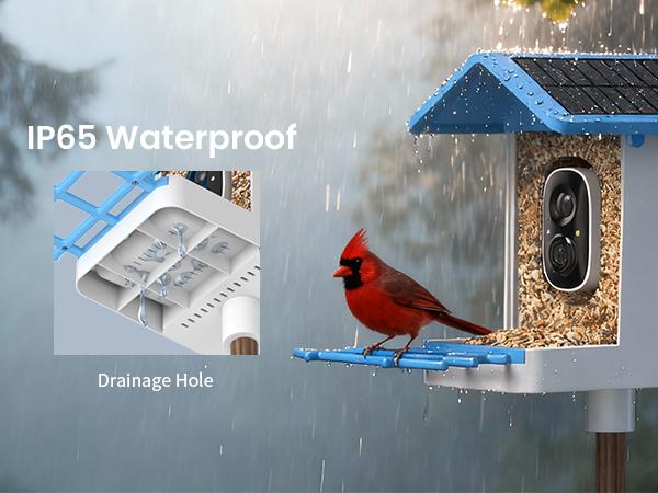Smart Bird Feeder with Camera Series – AI-Powered, Solar, 2K/2.5K HD, Auto-Bird ID, Motion Alerts, Perfect Gift for Bird Lovers