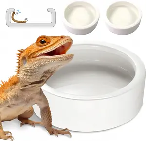 Reptile escape prevention feeding bowl for lion lizards, leopard geckos, spiders, reptiles, live mealworms, and Dubia worms. Food and Water Bowl Set Ceramic