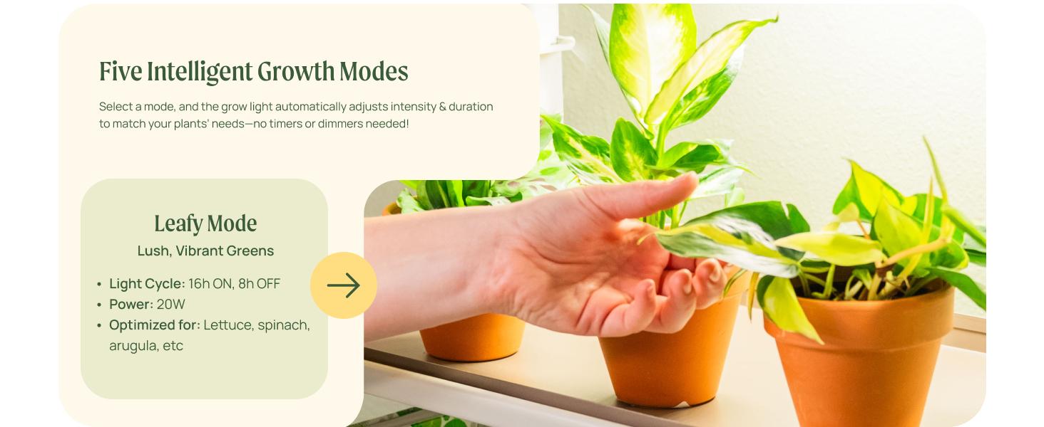 Vego Garden Full Spectrum LED Grow Light for Indoor Plants with 5 Modes for Seed Starting Leafy Herbs Fruits & Microgreens Modern Polycarbonate Greenhouse Home Use