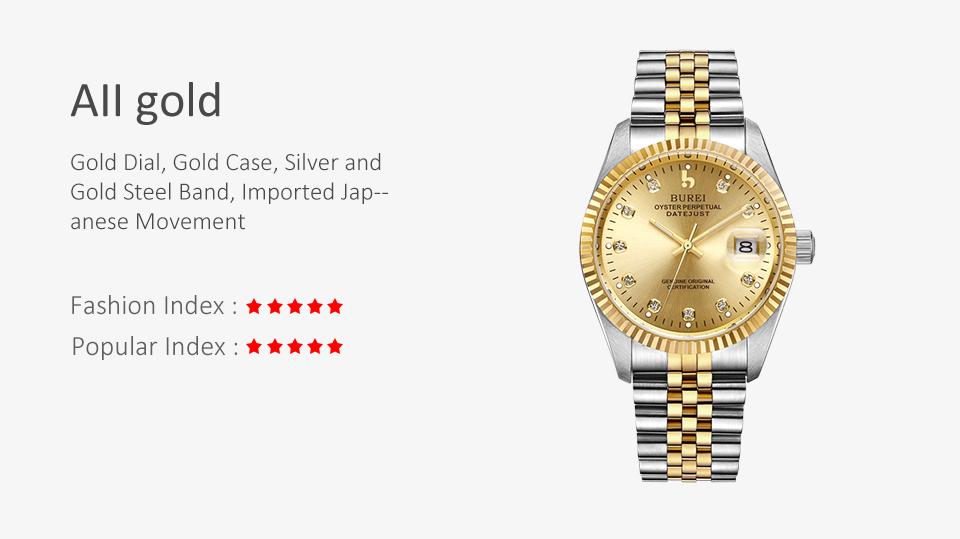 BUREI Men's Luxury Automatic Watch Two Tones Stainless Steel Dress Wrist Watches Self-Winding BUREI Men's Luxury Automatic Watch Two Tones Stainless Steel Dress Wrist Watches Self-Winding