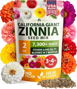 HOME GROWN Zinnia Seeds for 2026 - California Giant Mix - 7,300+ (2 oz) Plant Wildflower Blooms Bulk Seeds for Planting Flowers Outside - Pollinator Gardens (Zinnia elegans)
