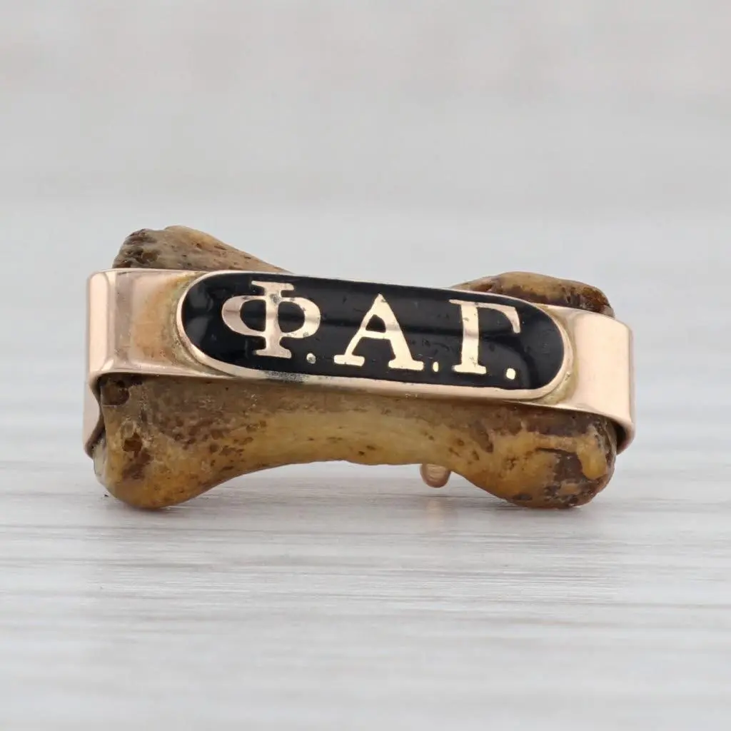 Antique Phi Alpha Gamma Bone Badge 14k Gold Enamel Medical Fraternity Pin Durable Metal Pins Hat Pins