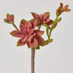 Mauve Pink & Green Sprouting Echeveria Pick Soft PE Succulent Plant Spray - 9"