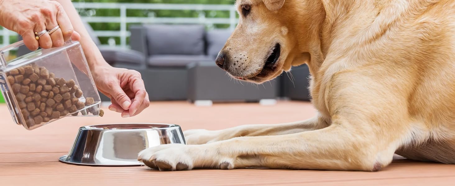 OSTBA Food Dehydrator Machine Adjustable Temperature & 72H Timer, 5-Tray Dehydrators for Food and Jerky, Fruit, Dog Treats, Herbs, Snacks, LED Display, 240W Electric Food Dryer, Recipe Book Appliances,low power consumption