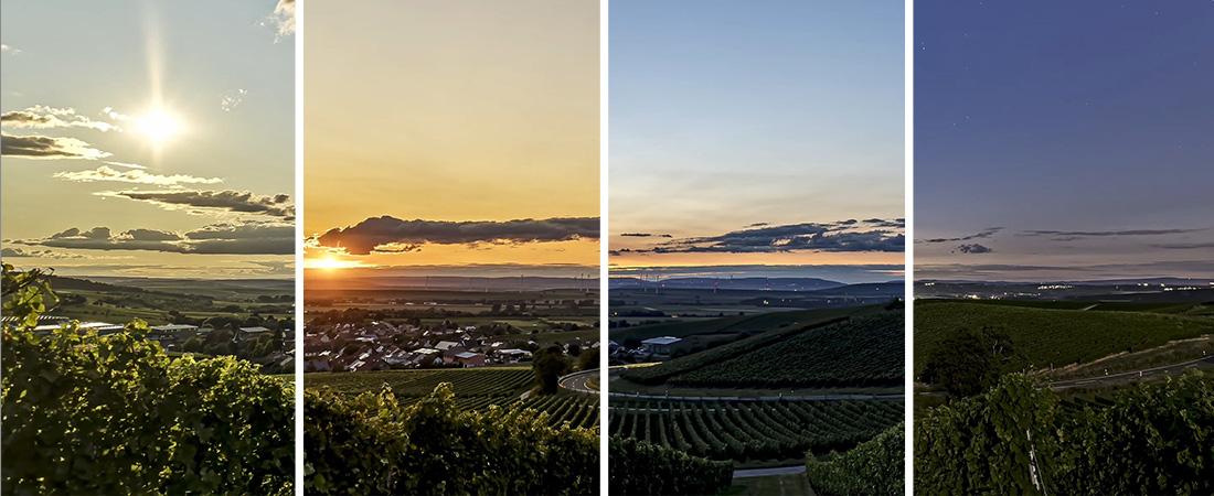 Reolink Argus PT with 3W Reolink Solar Panel 2K+ 5MP WIFI Outdoor Batttery Security Camera, Dual-Band WiFi, Smart Detection