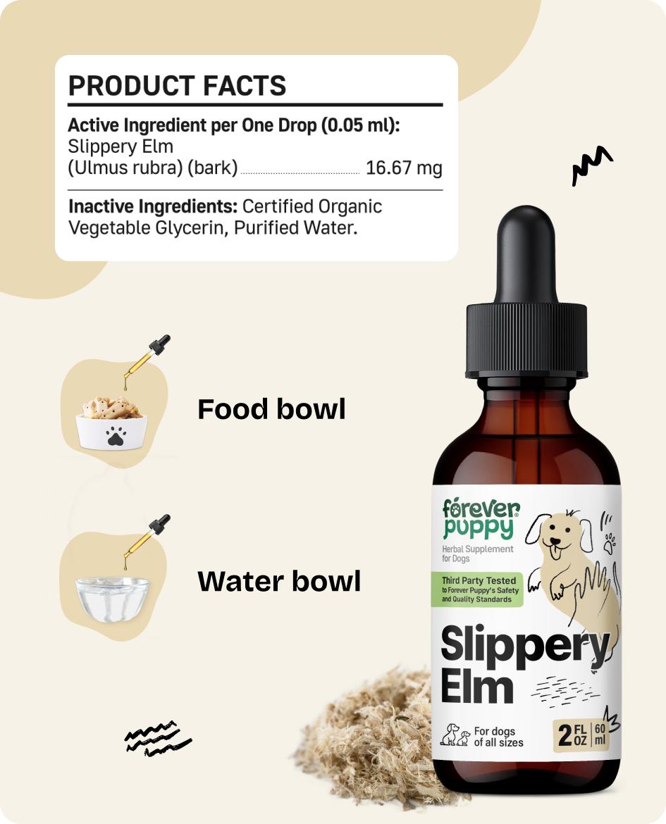 Slippery Elm Drops for Dogs - Gut Health Supplement with Slippery Elm Bark - Soluble Fiber Digestive Drops for Dogs - Liquid Vitamins and Supplements - Sugar & Alcohol-Free - 2 fl oz
