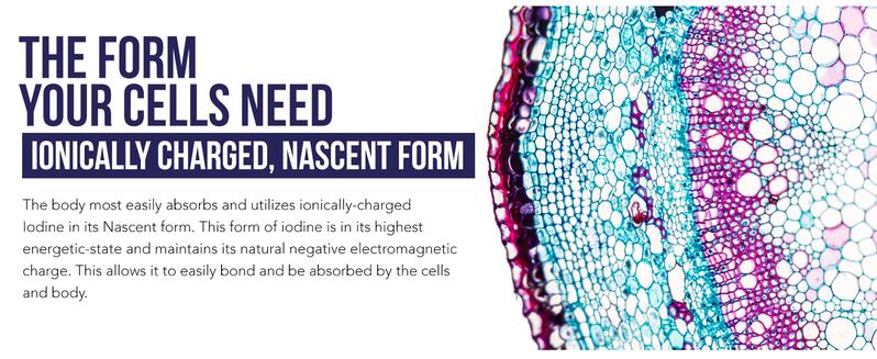 Nascent Iodine Supplement | 400 Servings – 1800 mcg (600 mcg per Drop) – Pure, Clear Liquid – Supports Thyroid Health, Energy & Immunity – Vegan, Glass Bottle (2 oz.)