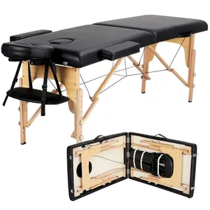 Costoffs Professional 2-Section Folding Massage Bed, Portable Spa Table with Adjustable Headrest & Armrest, for Therapists & Home Spa