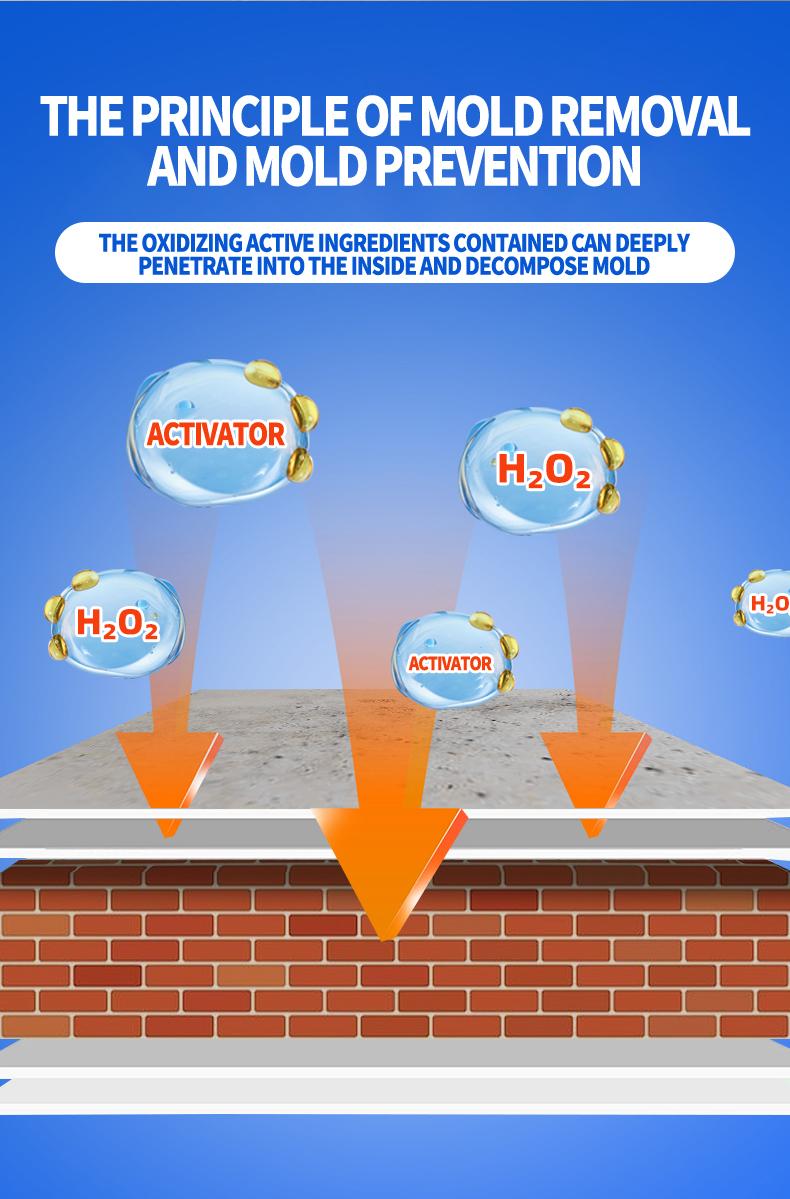Lanwexy Highly Effective Mould Removal Spray - Prevents Mould Regrowth