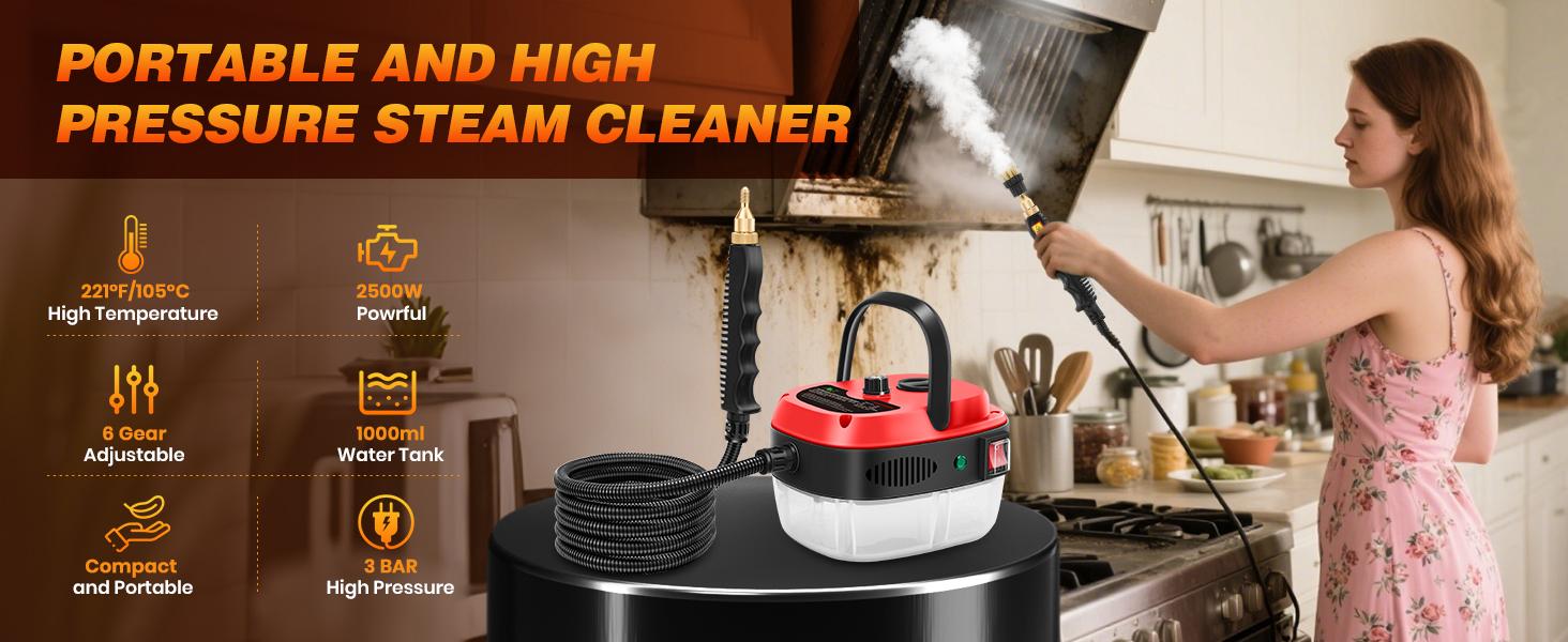 Portable Handheld Steam Cleaner, High Temperature Pressurized Steam Cleaning Machine with Brush Heads for Kitchen Furniture Bathroom Car, 110V