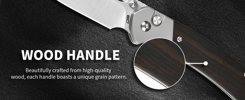 CJRB Bowie Pyrite Pocket Knife, EDC Knife, Folding Knife with 3.15'' AR-RPM9 Steel Blade, Hunting Knife with Wood Handle for Camping and FathersDayGift