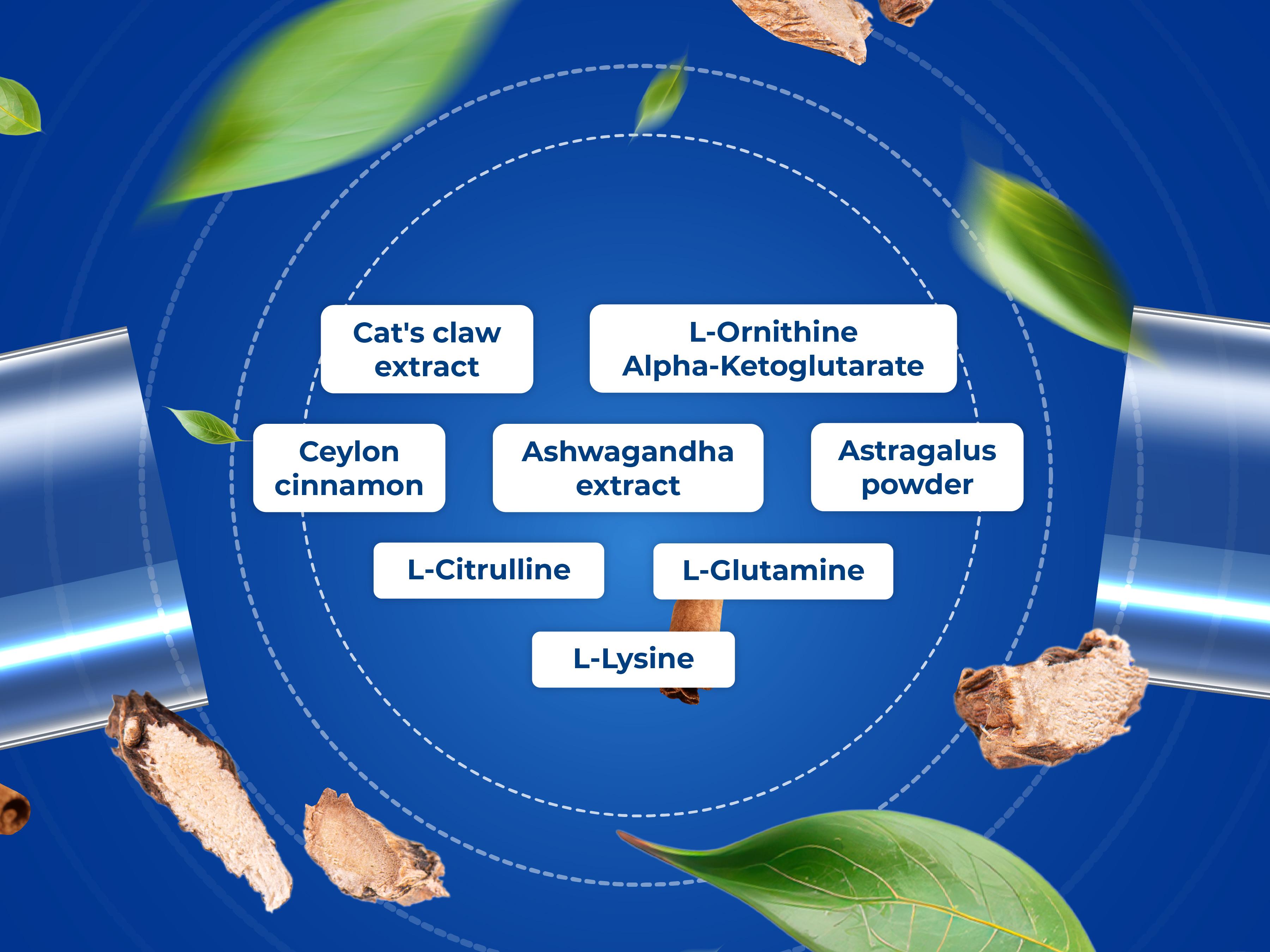 Activate Your Youthful Energy, Glowing Skin, and Longevity with YOUTH SWITCH – All-Natural Age Defying Supplement