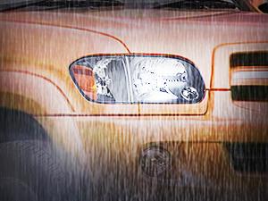 Nilight Headlight Assembly for 2005 2006 Toyota Tundra 4 Door Double Crew Cab 2005 2006 2007 Sequoia Pickup Replacement Black Housing Amber Reflector Driver and Passenger Side Nilight Headlight Assembly for 2005 2006 Toyota Tundra 4 Door Double Crew Cab 2005 2006 2007 Sequoia Pickup Replacement Black Housing Amber Reflector Driver and Passenger Side