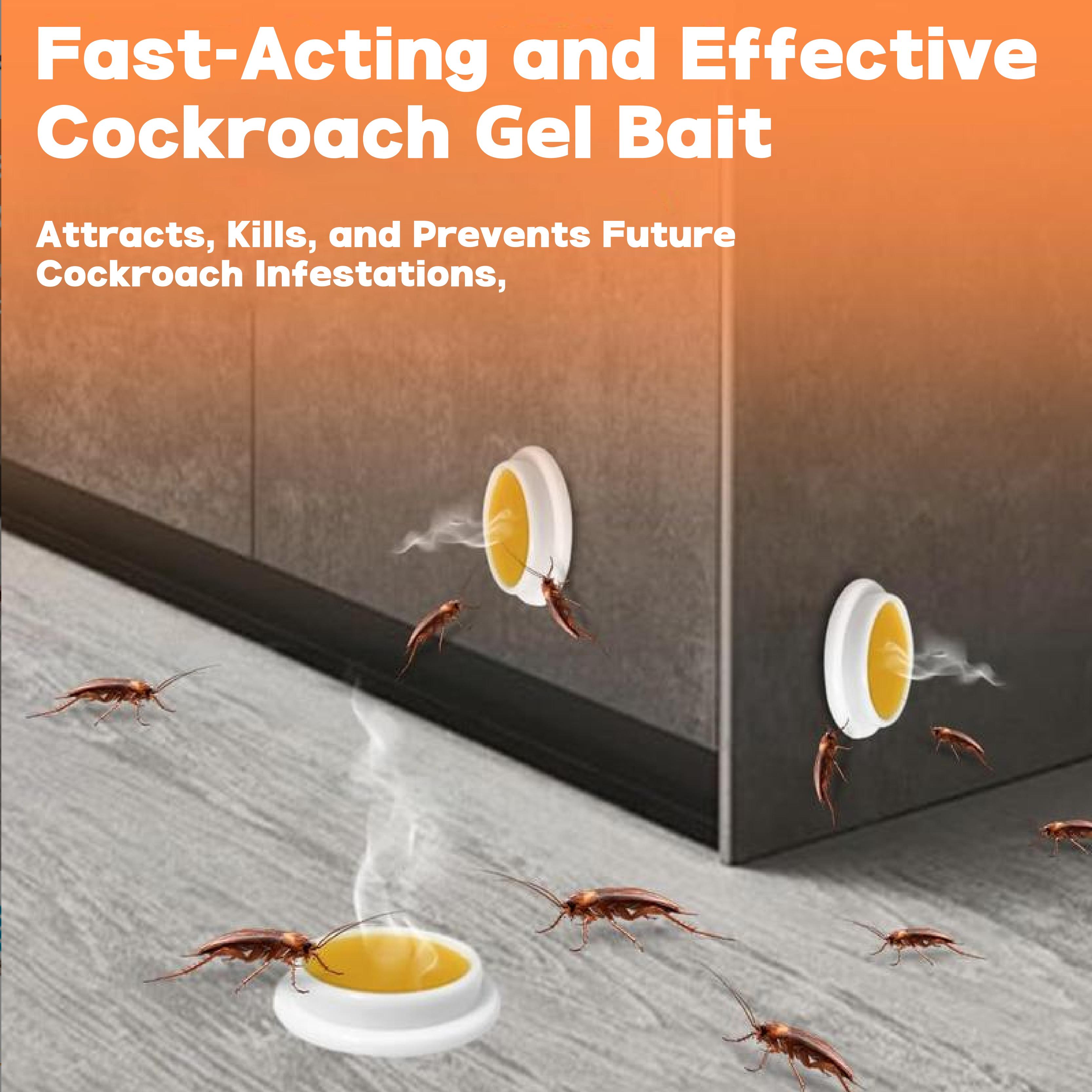 LENDOUYE: Indoor Pest Killing Products, Repellents, Indoor Traps, Insecticides, Bait Stations BD