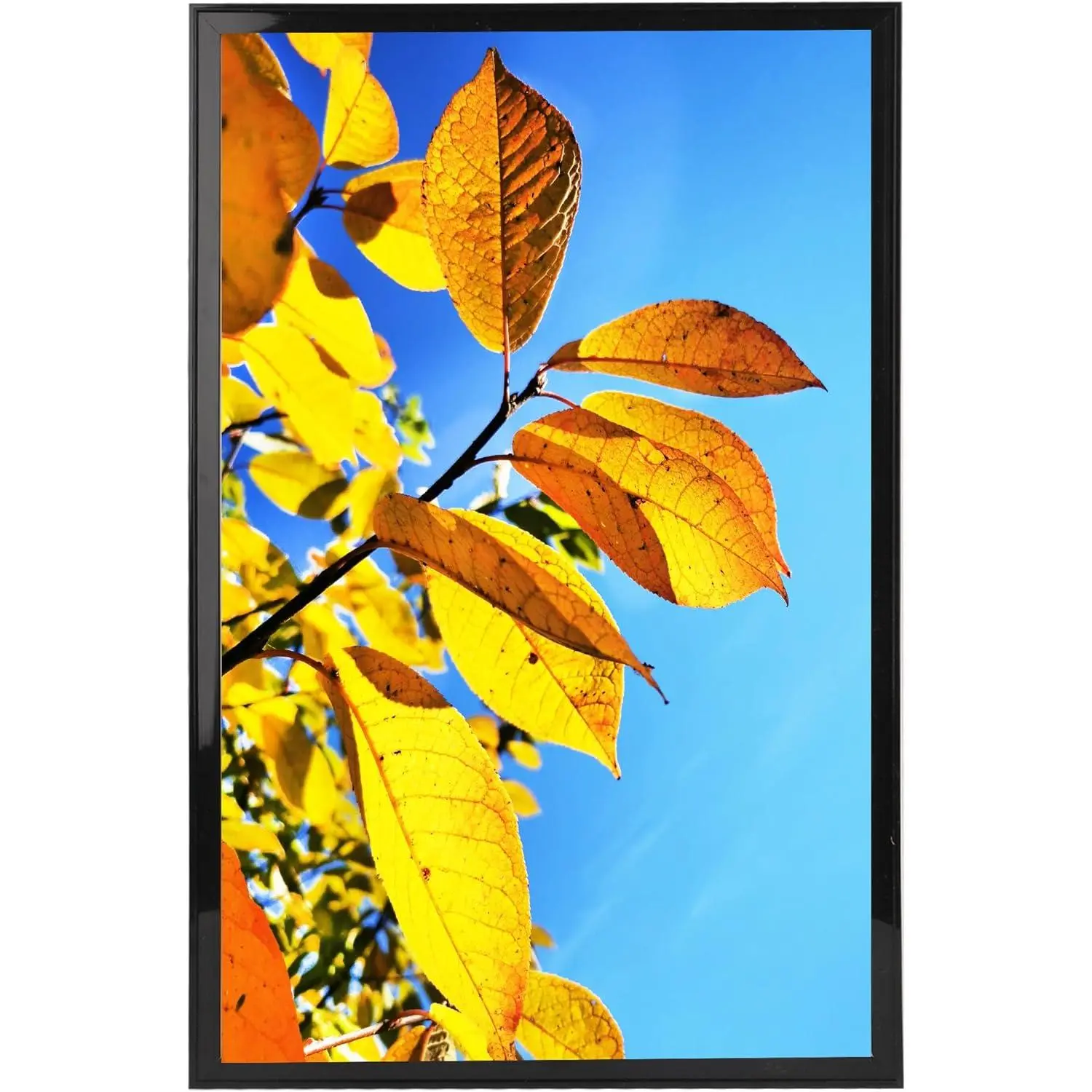 11x17 Picture Frame Black, Display Posters 11x17 Poster Frames, Wall Collage Photo Frame