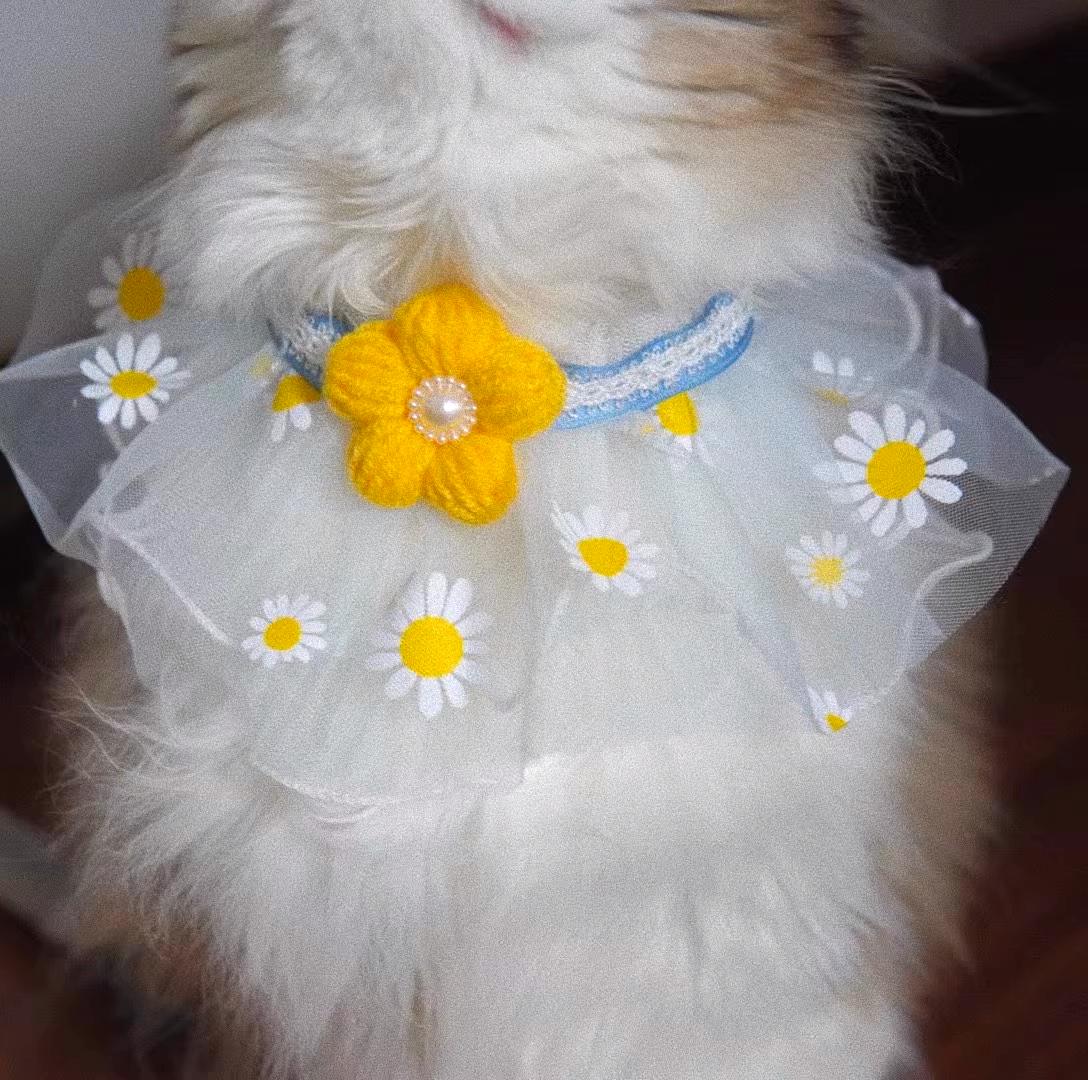 Daisy Delight Pet Collar – Handcrafted Floral Elegance for Your Furry Friend