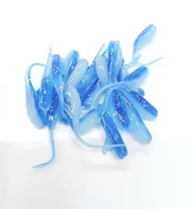 1.5" and 2" Crappie Minnows