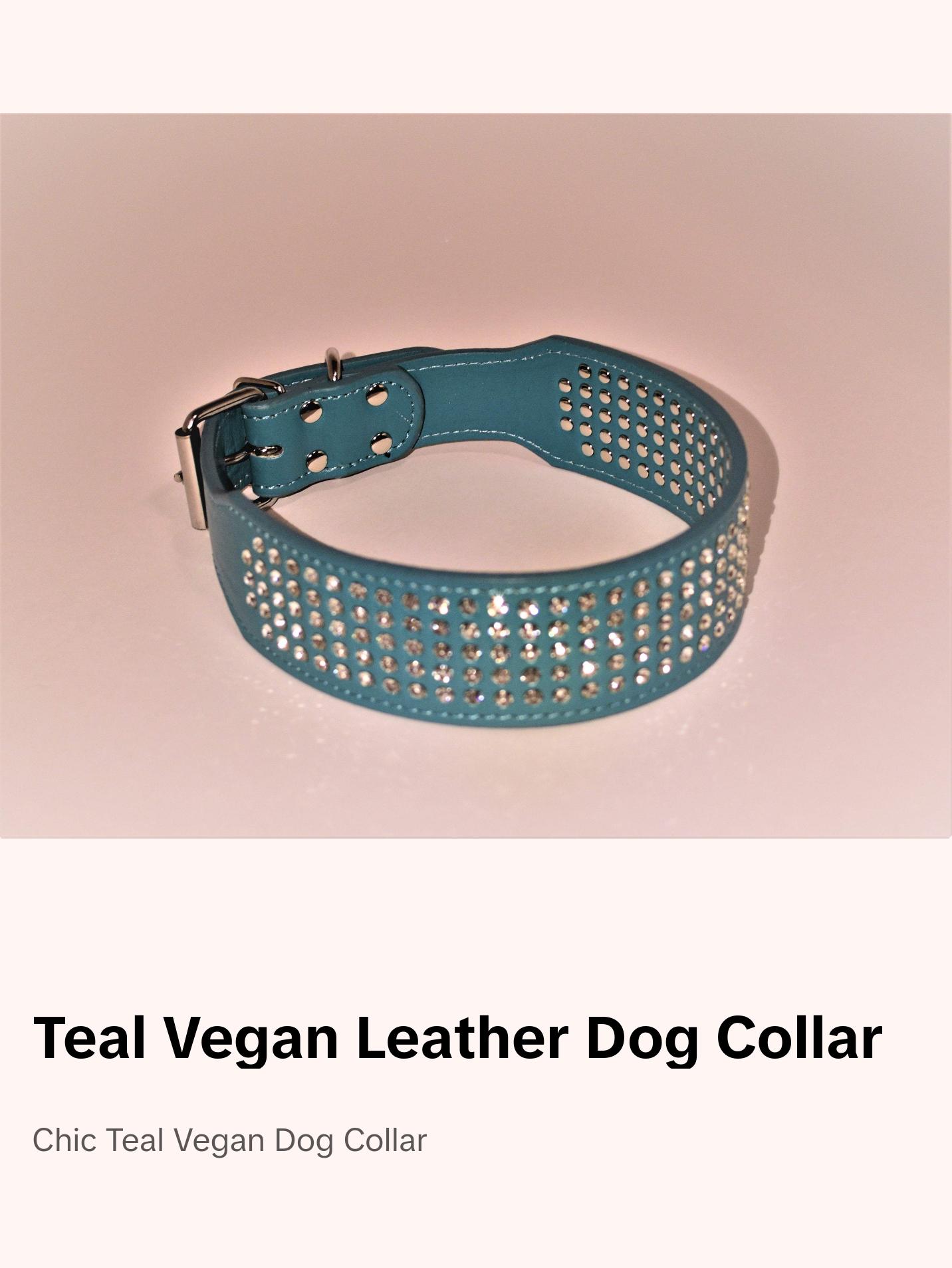 Teal Dog Collar