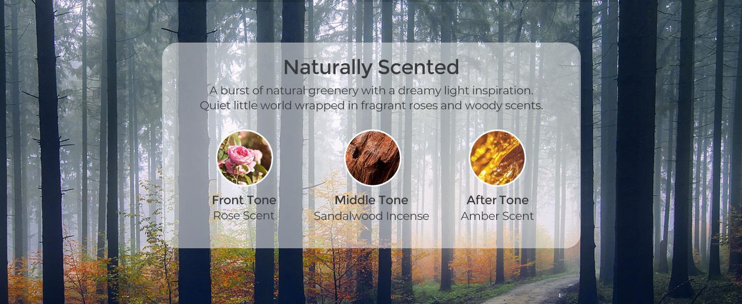 TYMO Treatment Hair Oil Haircare Moisturizer with Jojoba Plant Scent - Moistur TYMO Treatment Hair Oil Haircare Moisturizer with Jojoba Plant Scent - Moistur