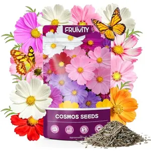 Cosmos Seeds Mix, 1 Ounce Over 5000+ Crazy Blend Cosmo Flowers Seed for Planting, Open Pollinated, Non-GMO, Heirloom Crazy Cosmos Seeds for 2026