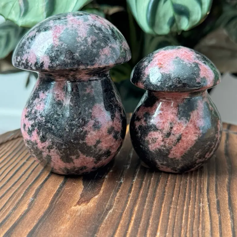 Rhodonite Hand-Carved Mushroom