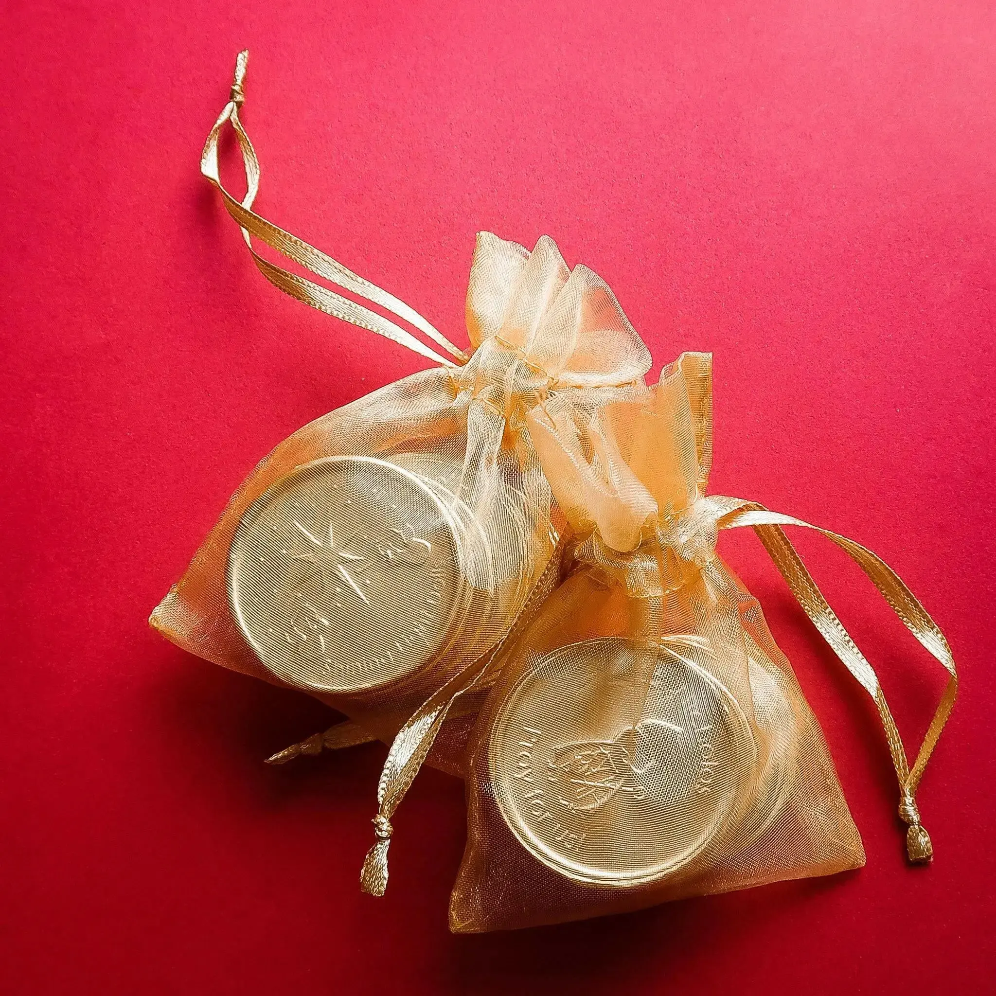 Milk Chocolate St. Nicholas Chocolate Coin Pouch
