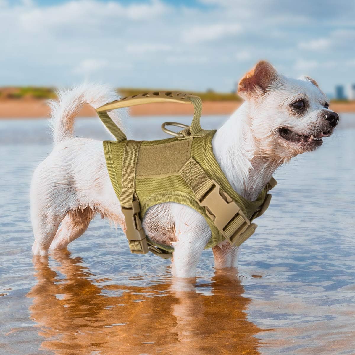 Adjustable Anti-Escape Pet Vest Leash,Waterproof and Breathable Summer Cat and Puppy Training Equipment, Hands-Free Leash Tactical Harness, Cat Chest Harness Set