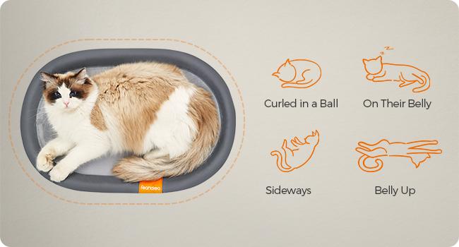 Feandrea Pet Bed, Cat Hammock, Elevated Cat Bed for Multiple Cats, with Removable Washable Mesh, for Pets up to 28 lb, Oval, Gray UPCB002G01