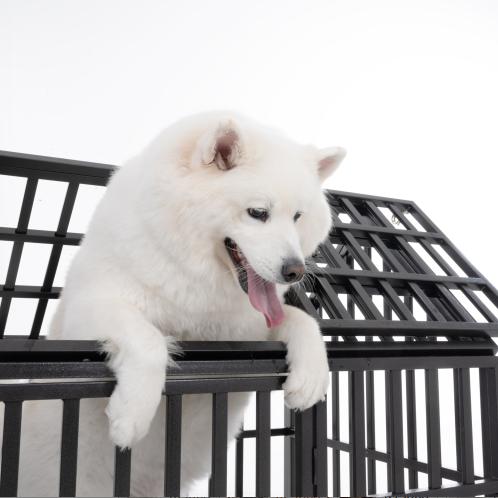 Extra Large Dog Crate Villa for Large Breeds, Indoor Dog House with Toilet Separation, Heavy-Duty Kennel for Golden Retrievers & Labradors Extra Large Dog Crate Villa for Large Breeds, Indoor Dog House with Toilet Separation, Heavy-Duty Kennel for Golden Retrievers & Labradors