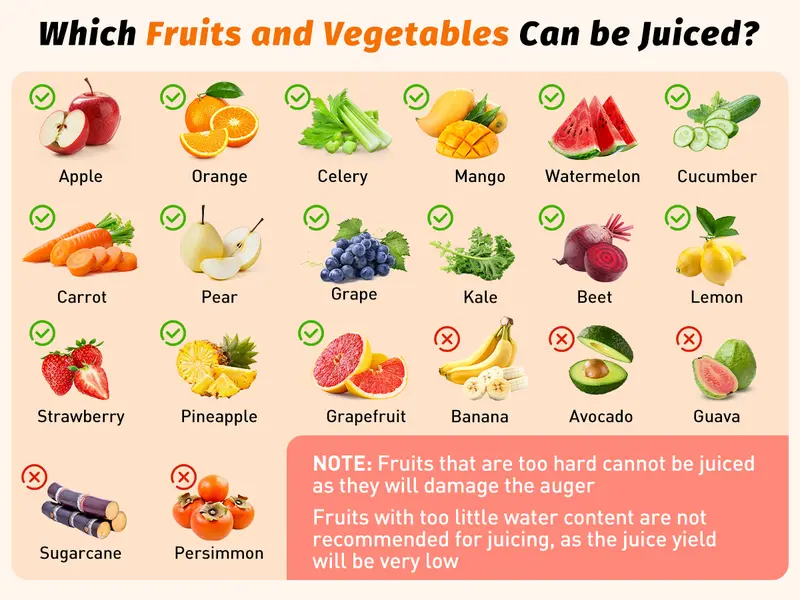 LQZ 350W Cold Press Juicer - Slow Masticating, 5.4 Inch Feed Chute, High Juice Yield, Easy Clean, 55rpm Technology for Whole Fruits & Veggies,Whole Vertical Juicer#backtoschool#sohochic LQZ 350W Cold Press Juicer - Slow Masticating, 5.4 Inch Feed Chute, High Juice Yield, Easy Clean, 55rpm Technology for Whole Fruits & Veggies,Whole Vertical Juicer#backtoschool#sohochic
