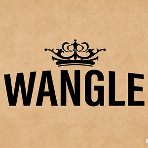 WANGLE Direct Store