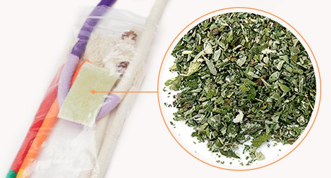 Cat Toys Chew Ropes 3Pcs with Refillable Natural Catnip, Safe Teeth Cleaning Toy for Indoor Kittens, Interactive Cat Nip Kitty Toys for All Breeds Cat Toys Chew Ropes 3Pcs with Refillable Natural Catnip, Safe Teeth Cleaning Toy for Indoor Kittens, Interactive Cat Nip Kitty Toys for All Breeds