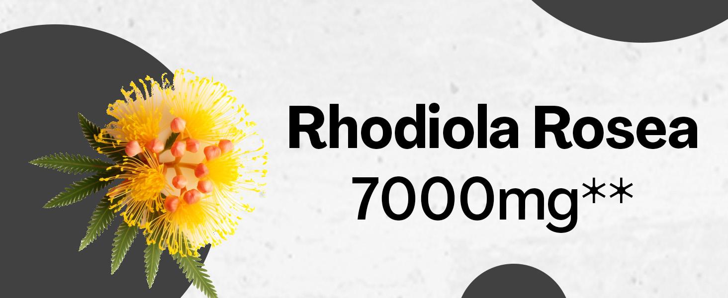 Zoyava Shilajit Supplement - All-in-One Multivitamin Energy Booster - with Ashwagandha, Rhodiola Rosea & 7+ Extra Strength Herbal Ingredients - 60 Capsules - MADE IN USA Zoyava Shilajit Supplement - All-in-One Multivitamin Energy Booster - with Ashwagandha, Rhodiola Rosea & 7+ Extra Strength Herbal Ingredients - 60 Capsules - MADE IN USA